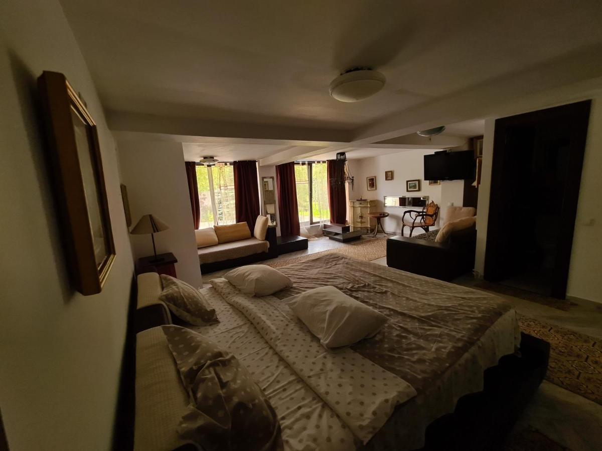 Casa Poveste Pensiunea-Muzeu Кимпулунг-Молдовенеск Екстер'єр фото